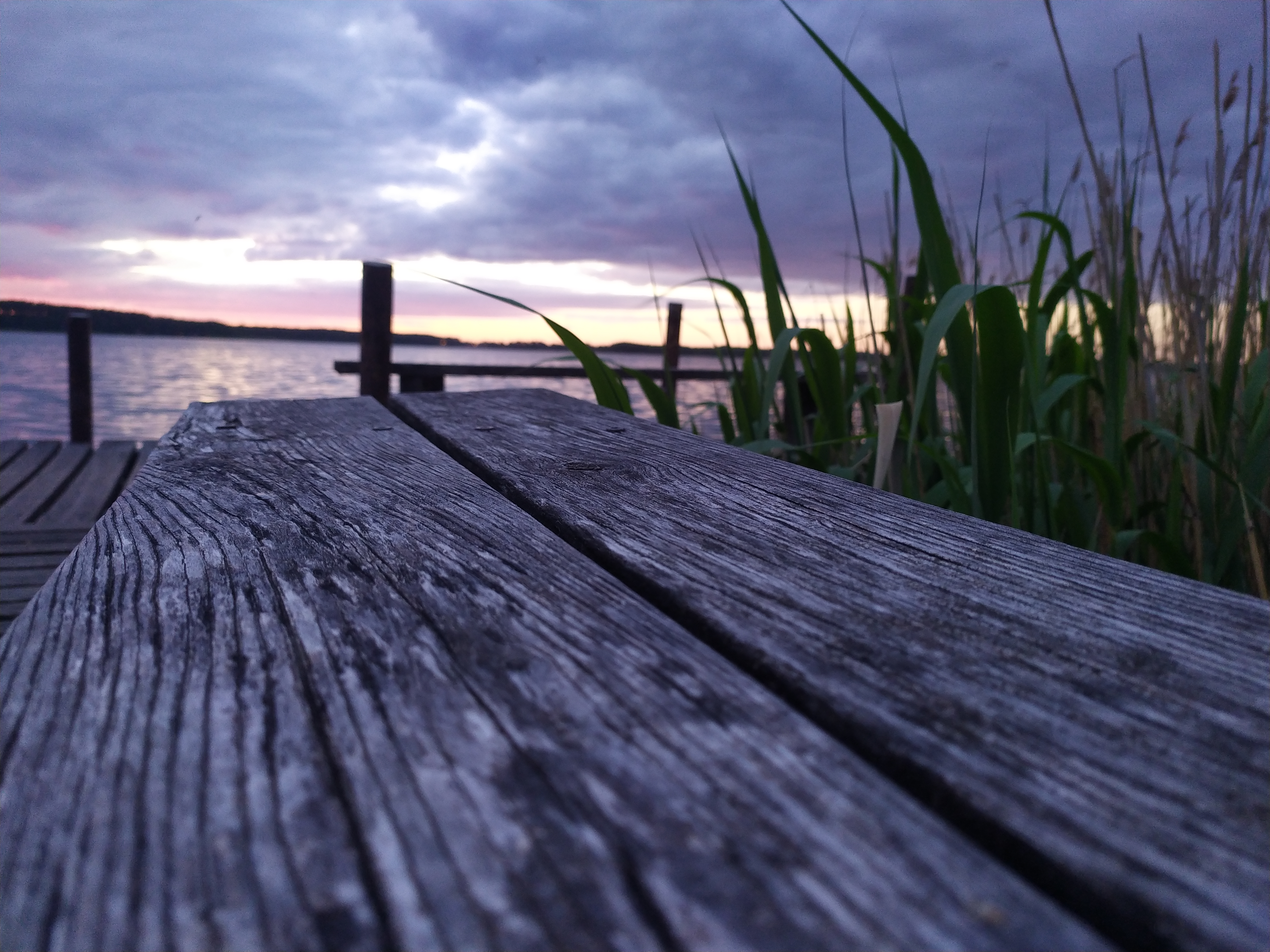 Krzysztof Gregor 7a 1.jpg